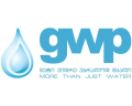 თენგიზ ამურველაშვილი, კომპანია"GWP"-ის სისტემებისა და პროცესების ოფიცერი 